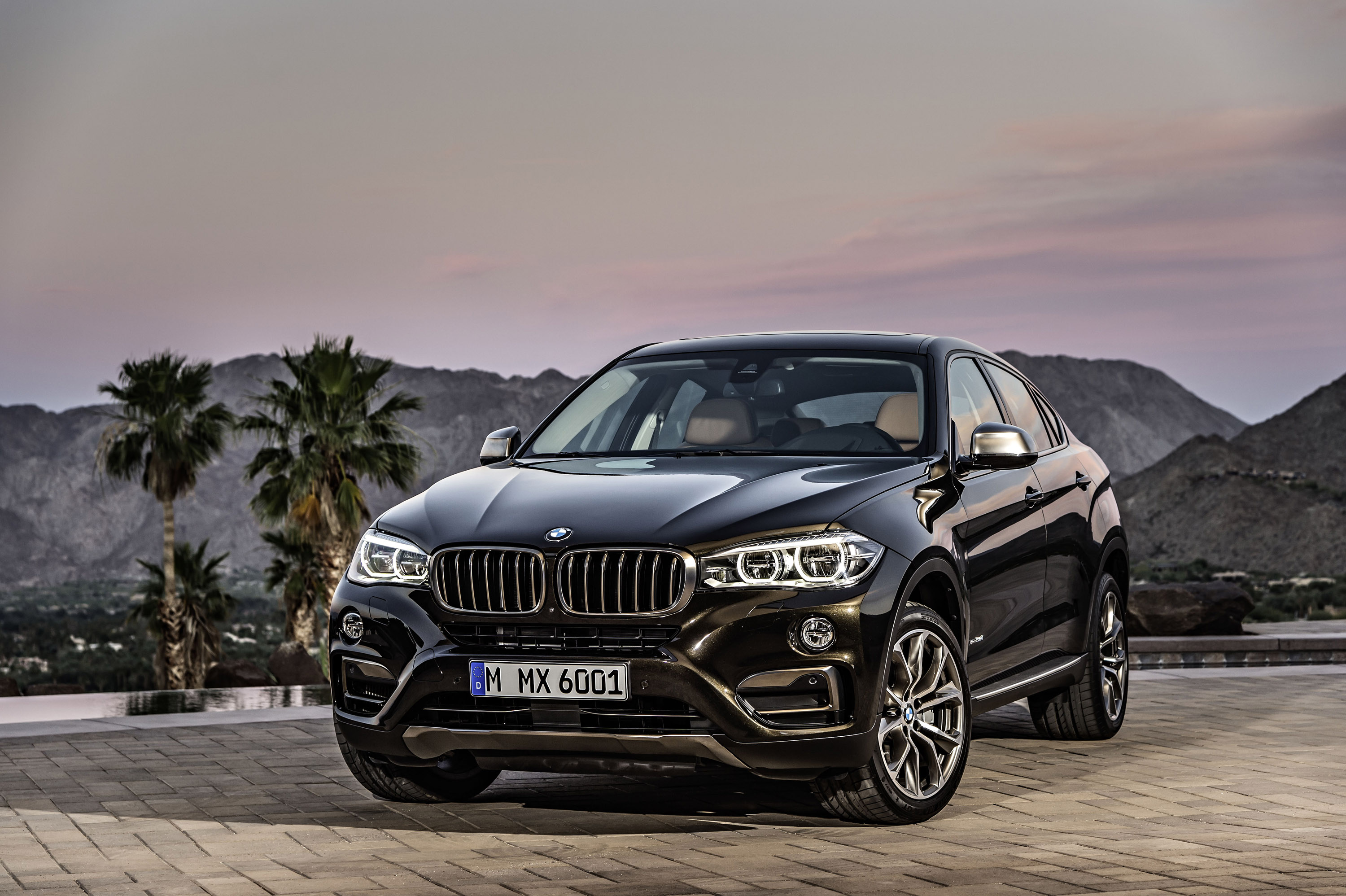 BMW X6 photo #21