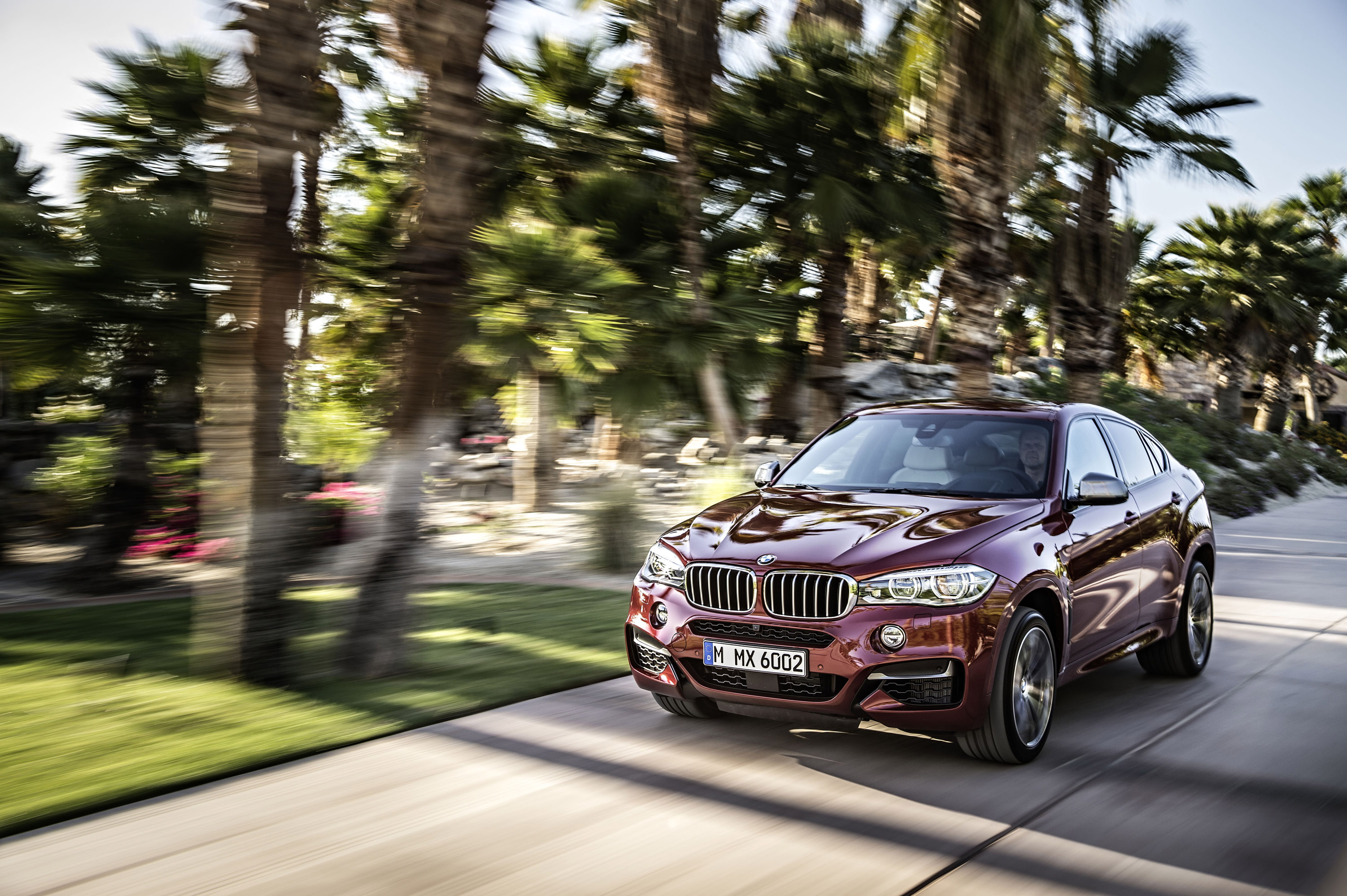 BMW X6 photo #23