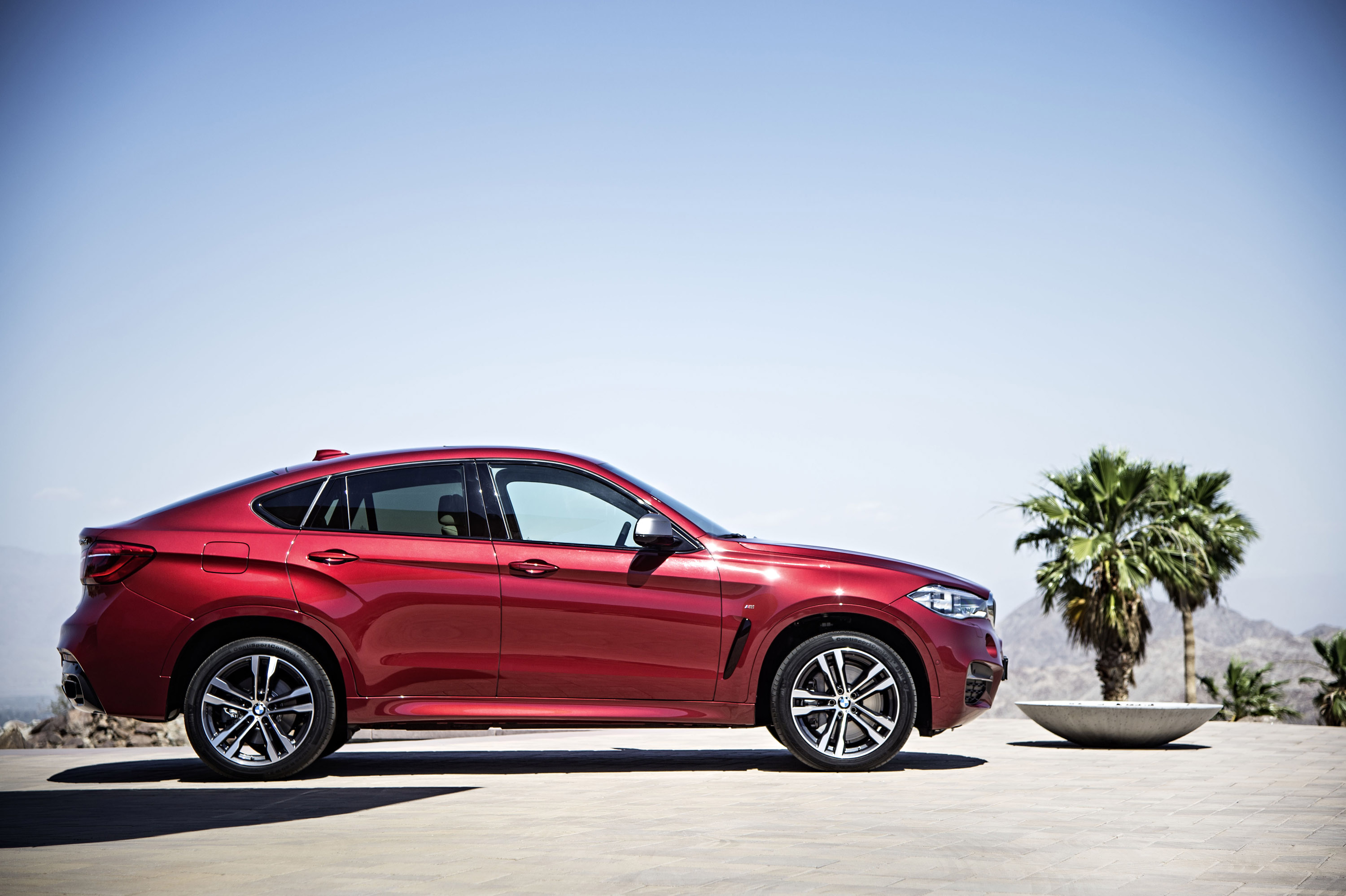 BMW X6 photo #28