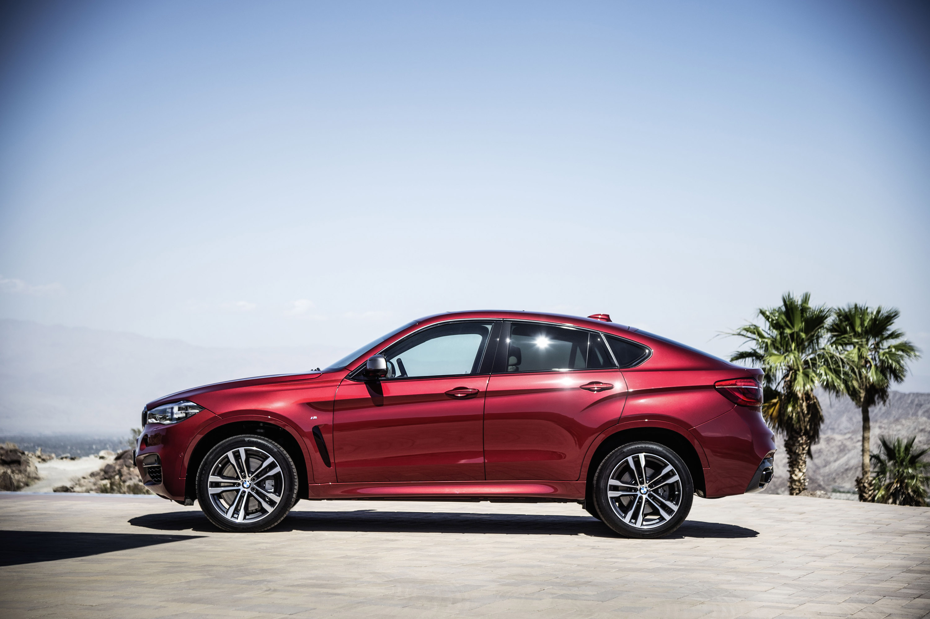 BMW X6 photo #29