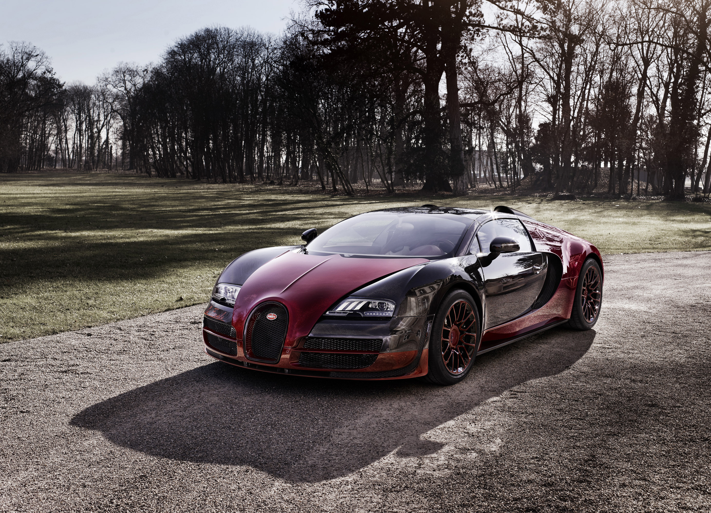 Bugatti Veyron Grand Sport Vitesse La Finale photo #1