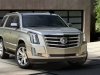 2015 Cadillac Escalade thumbnail photo 22003