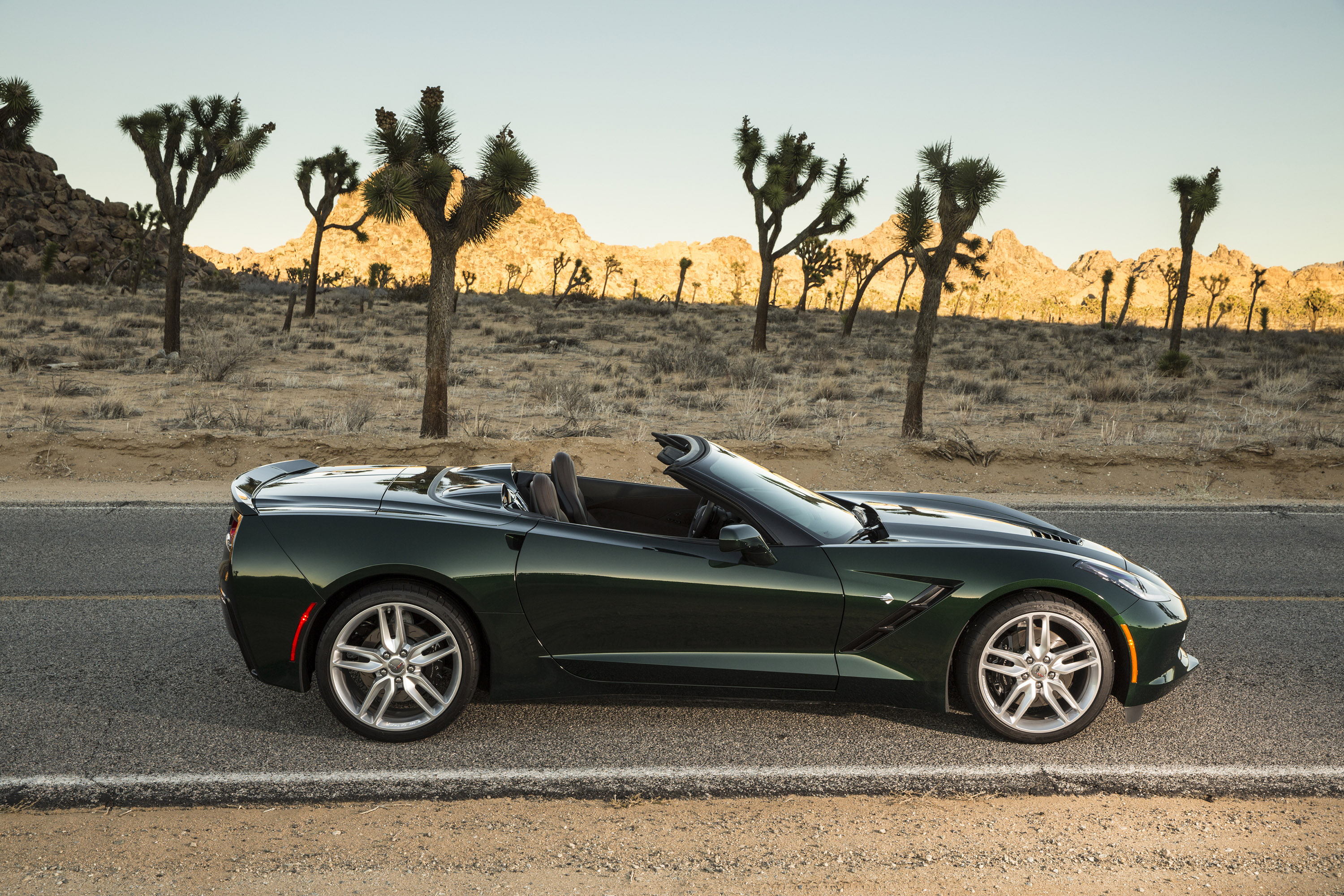 Chevrolet Corvette Stingray Convertible photo #20