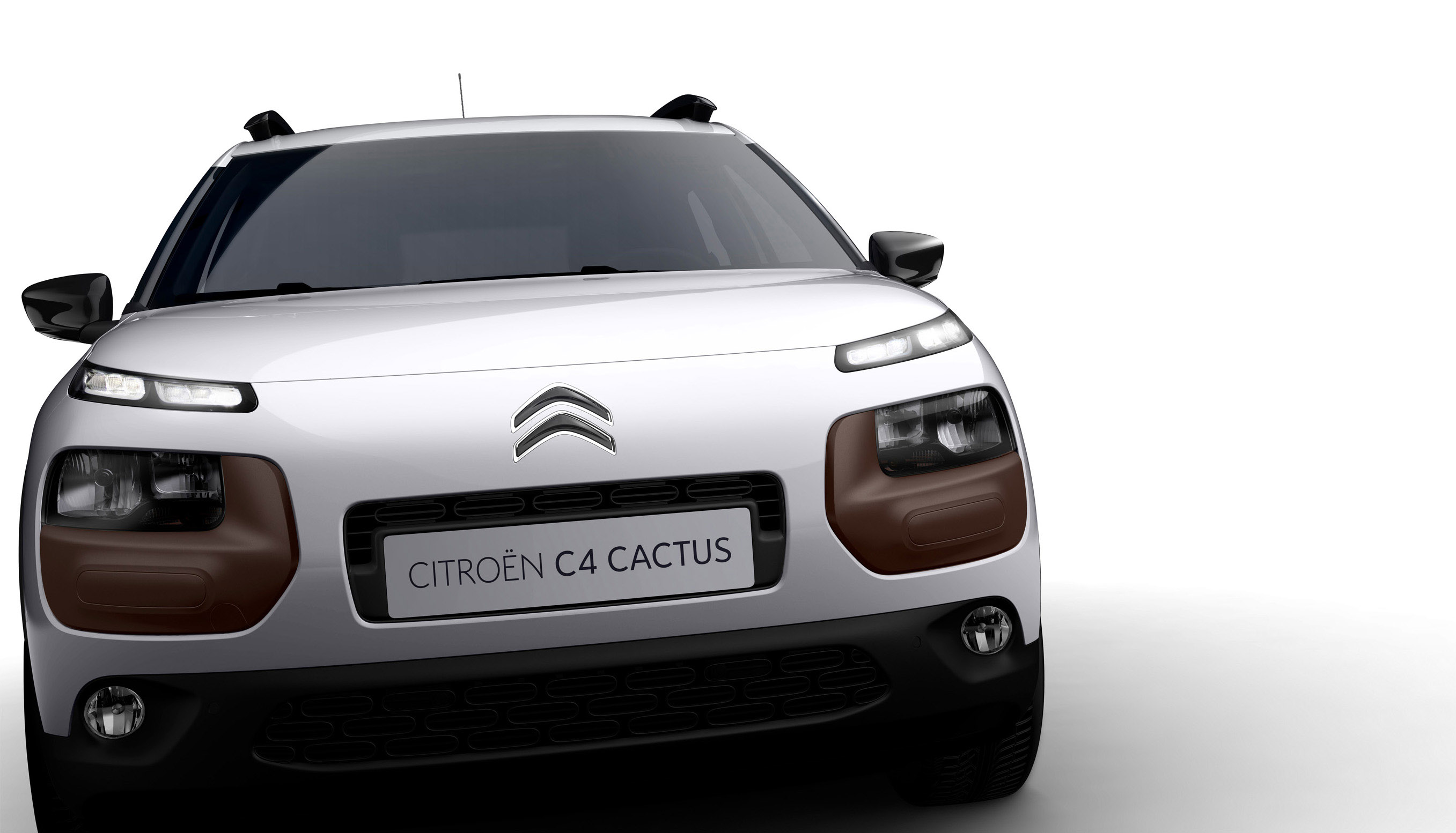 Citroen C4 Cactus photo #16