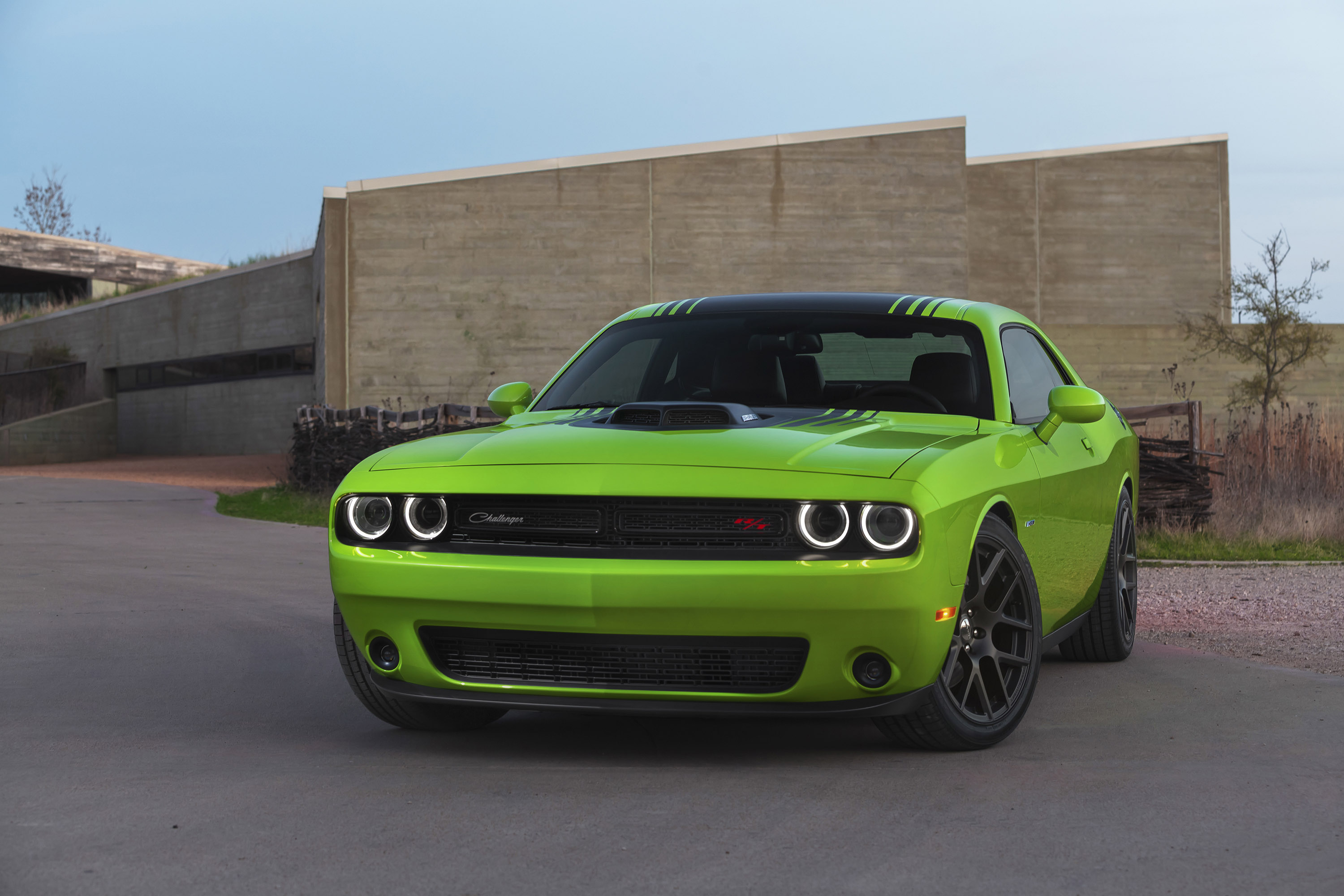 Dodge Challenger photo #1