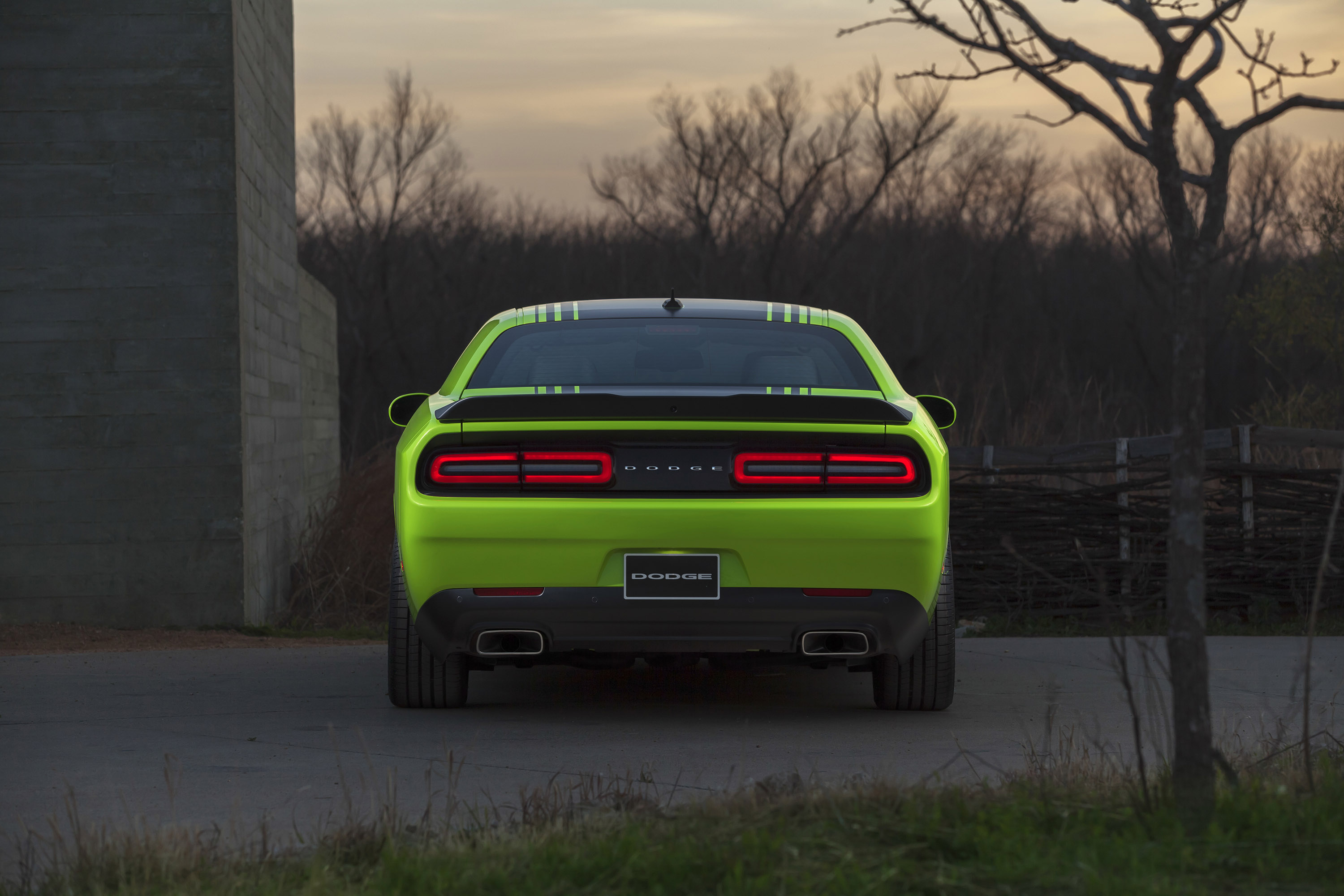 Dodge Challenger photo #24