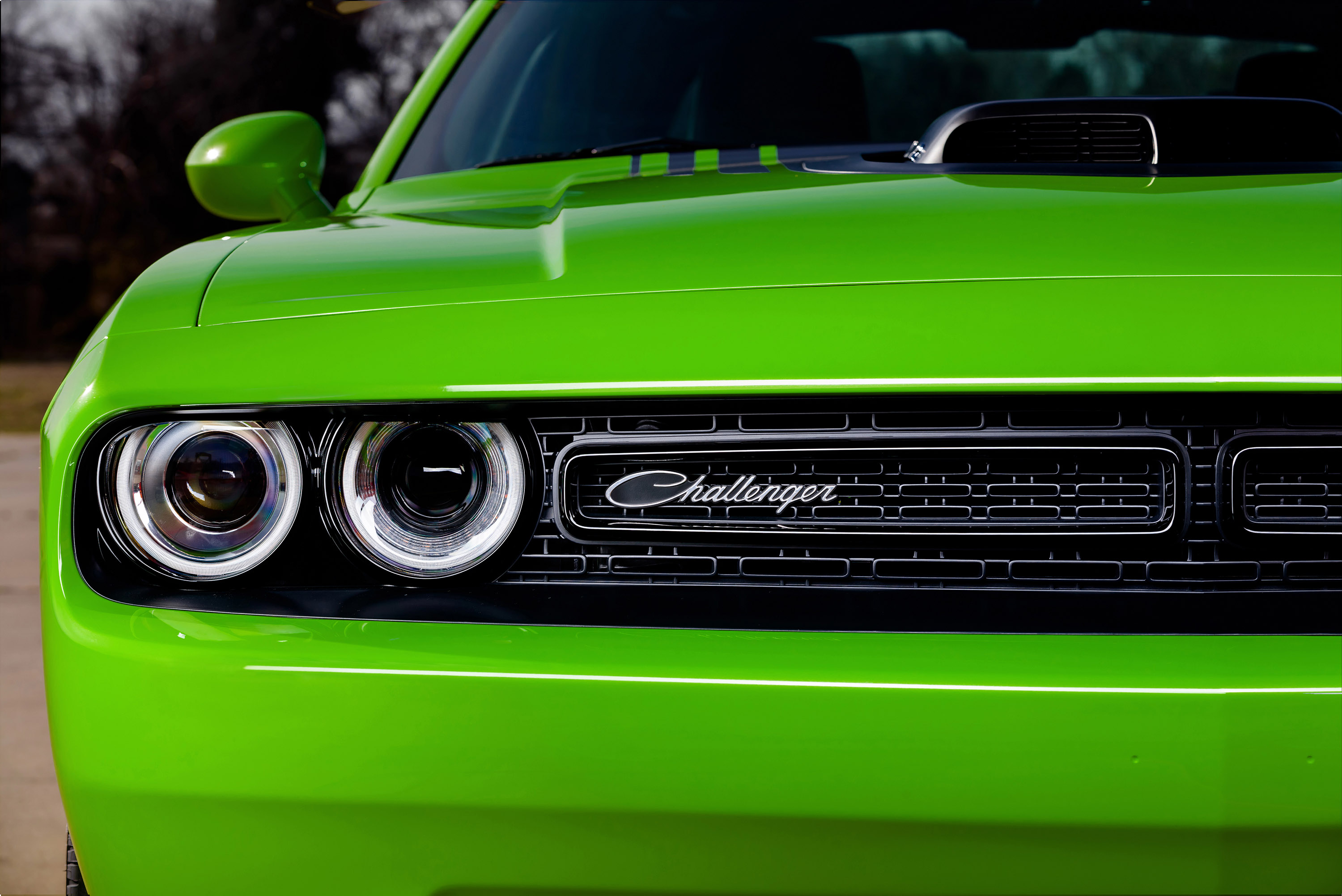 Dodge Challenger photo #46