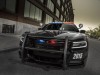 2015 Dodge Charger Pursuit thumbnail photo 73626