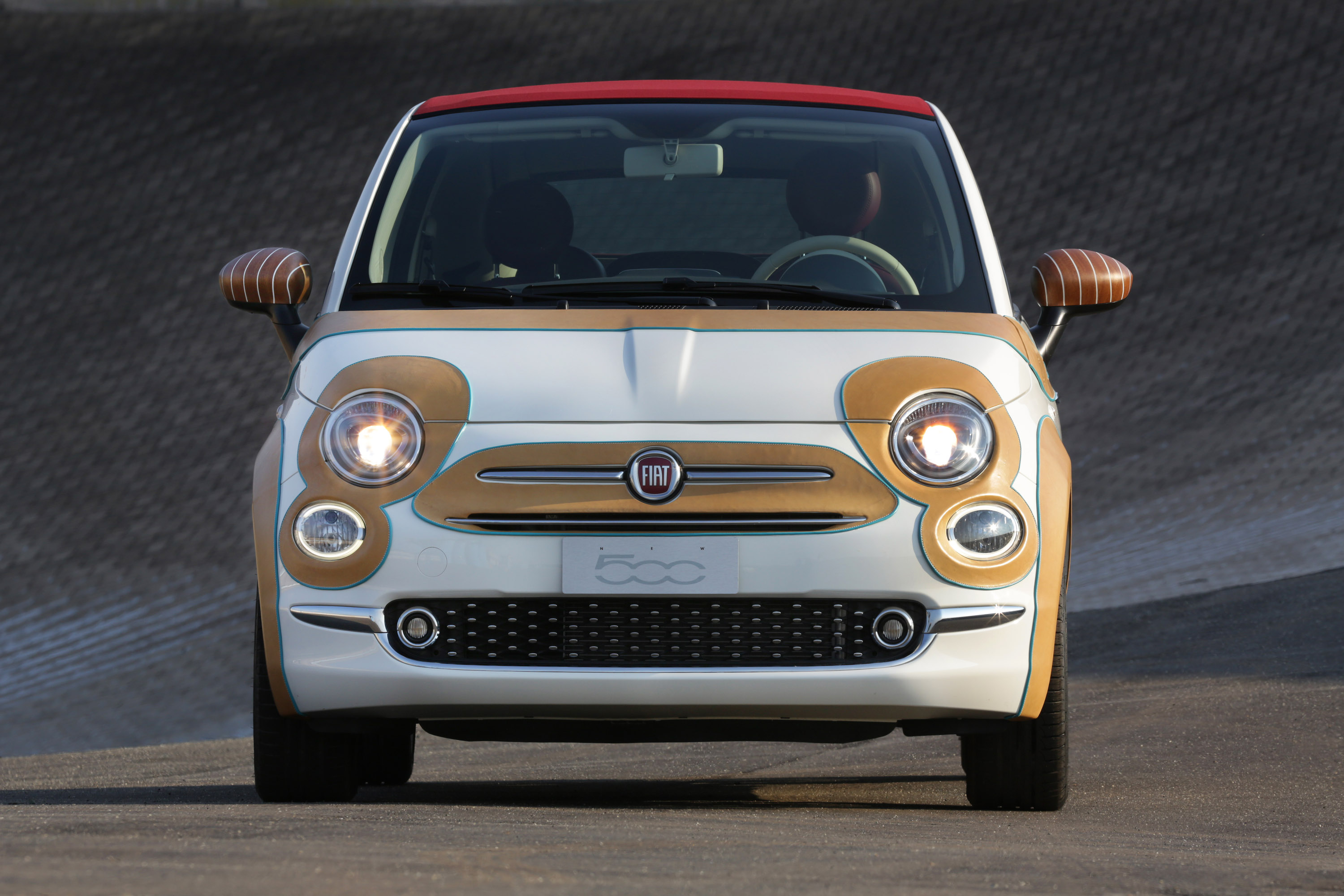 Fiat 500 Showcar photo #2