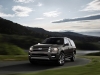 2015 Ford Expedition thumbnail photo 45800