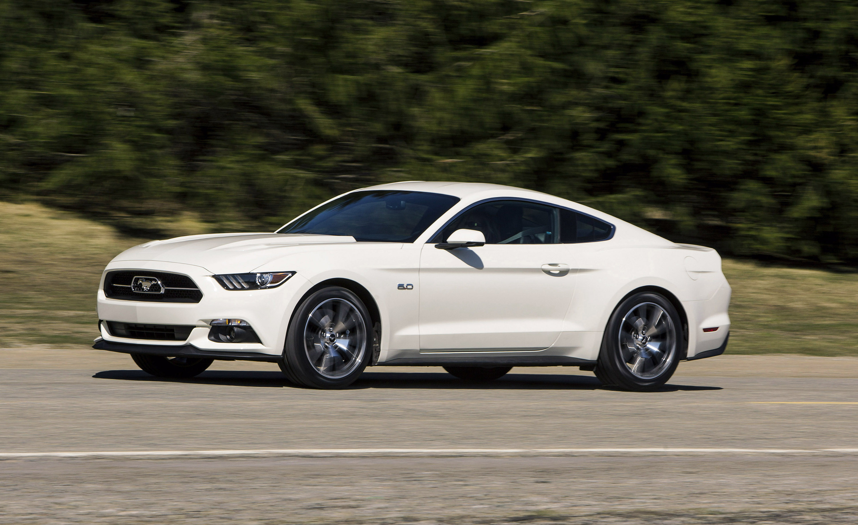 Ford Mustang 50 Year Limited Edition photo #2