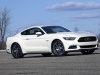 2015 Ford Mustang 50 Year Limited Edition thumbnail photo 57628