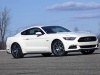 2015 Ford Mustang 50 Year Limited Edition