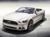 2015 Ford Mustang 50 Years Convertible thumbnail photo 60060