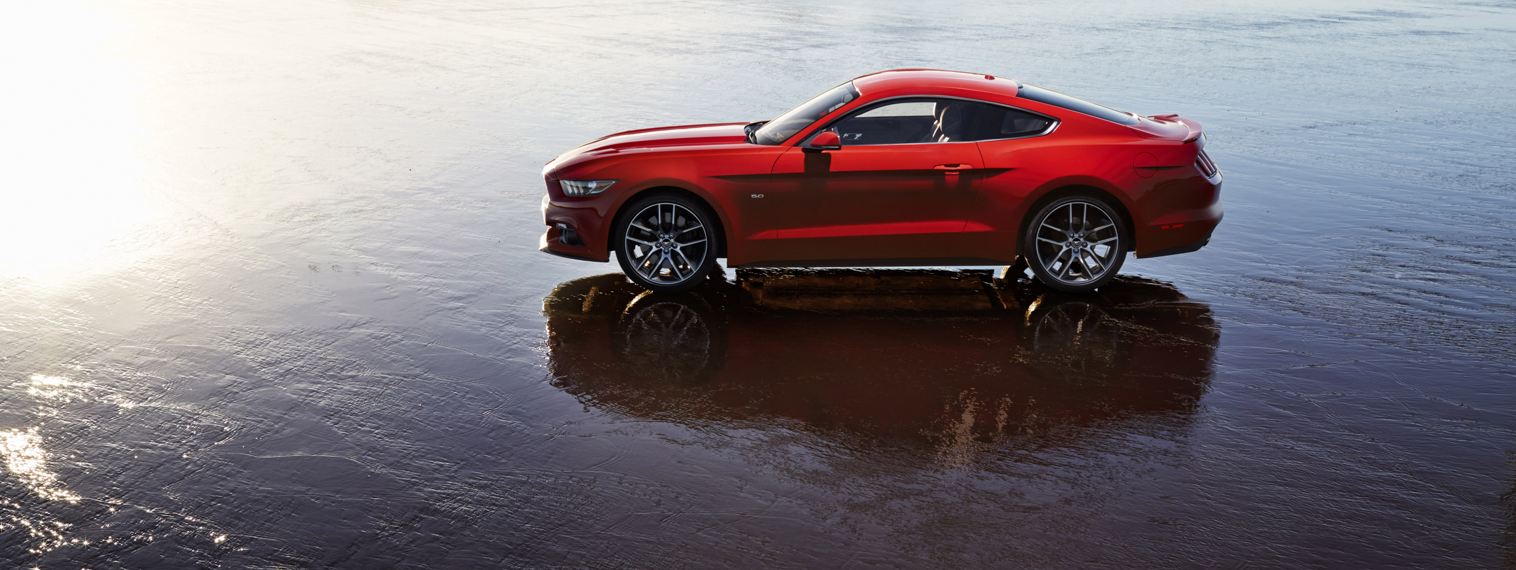 Ford Mustang photo #19
