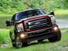 2015 Ford Super Duty thumbnail photo 71134