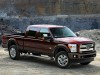 2015 Ford Super Duty thumbnail photo 71136