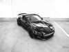 2015 GAS-Fisker Ford Mustang Rocket thumbnail photo 87203