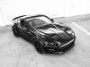 2015 GAS-Fisker Ford Mustang Rocket thumbnail photo 87208