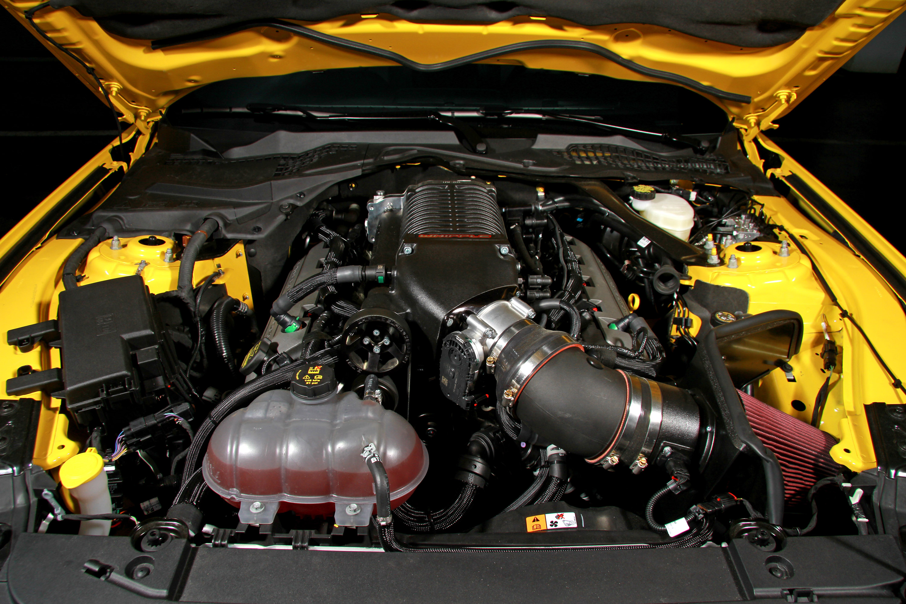 GeigerCars Ford Mustang GT photo #6