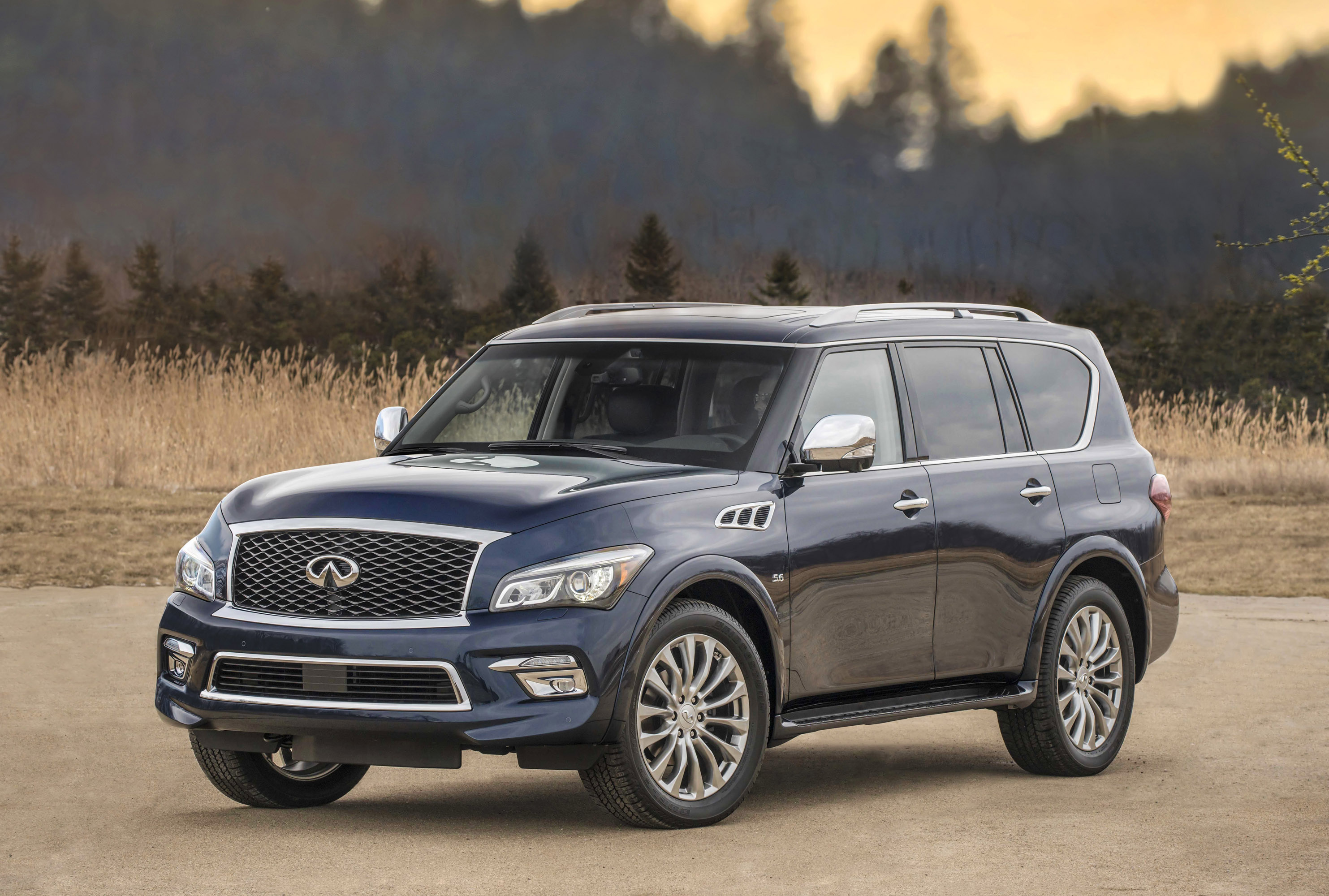 Infiniti QX80 photo #1