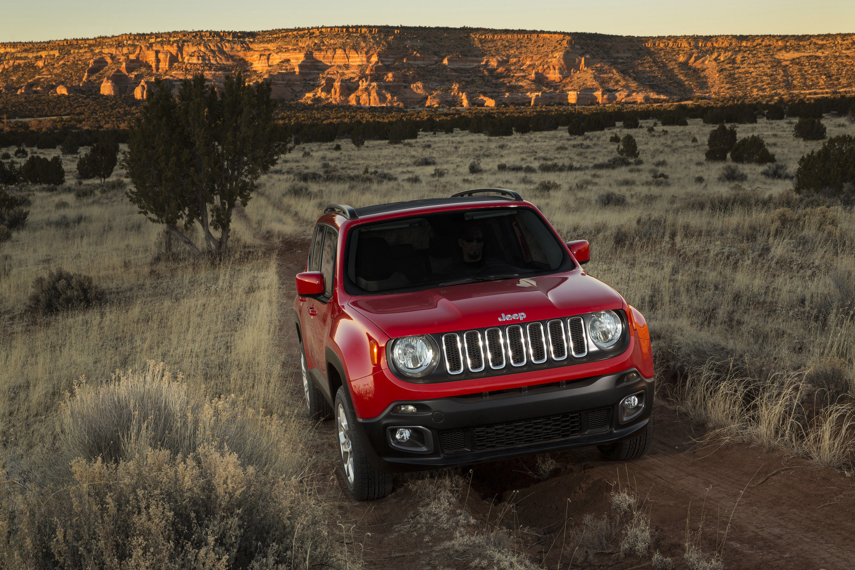 Jeep Renegade photo #17