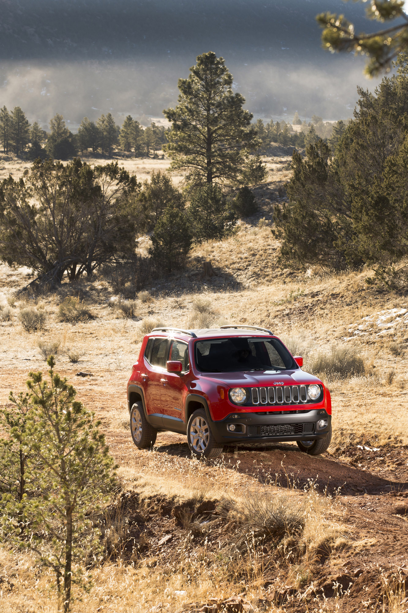 Jeep Renegade photo #21