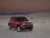 2015 Jeep Renegade thumbnail photo 48760