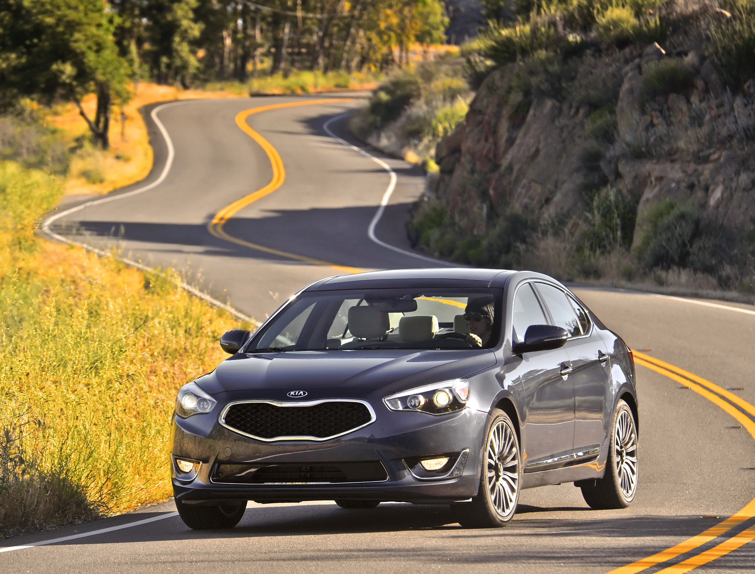 Kia Cadenza photo #15