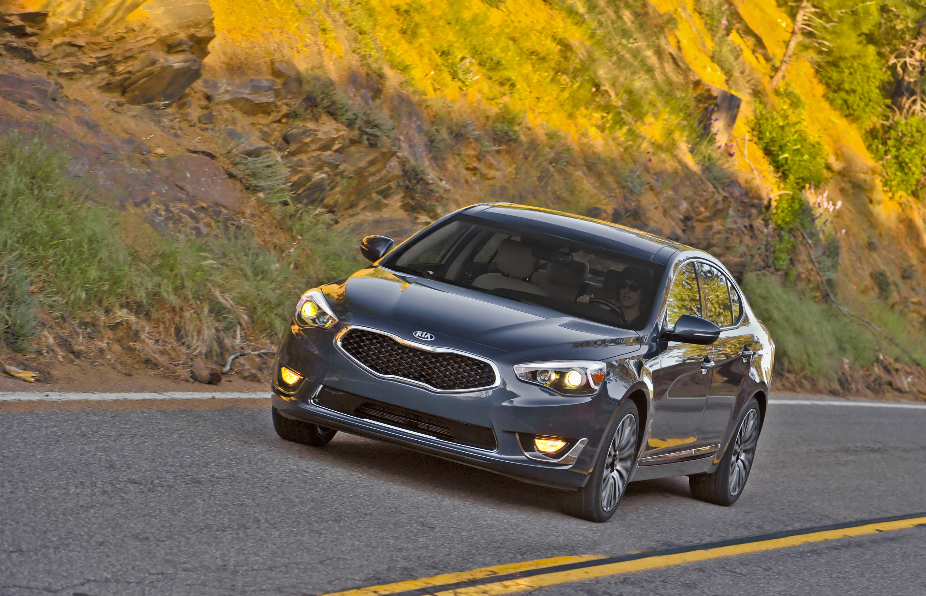 Kia Cadenza photo #16