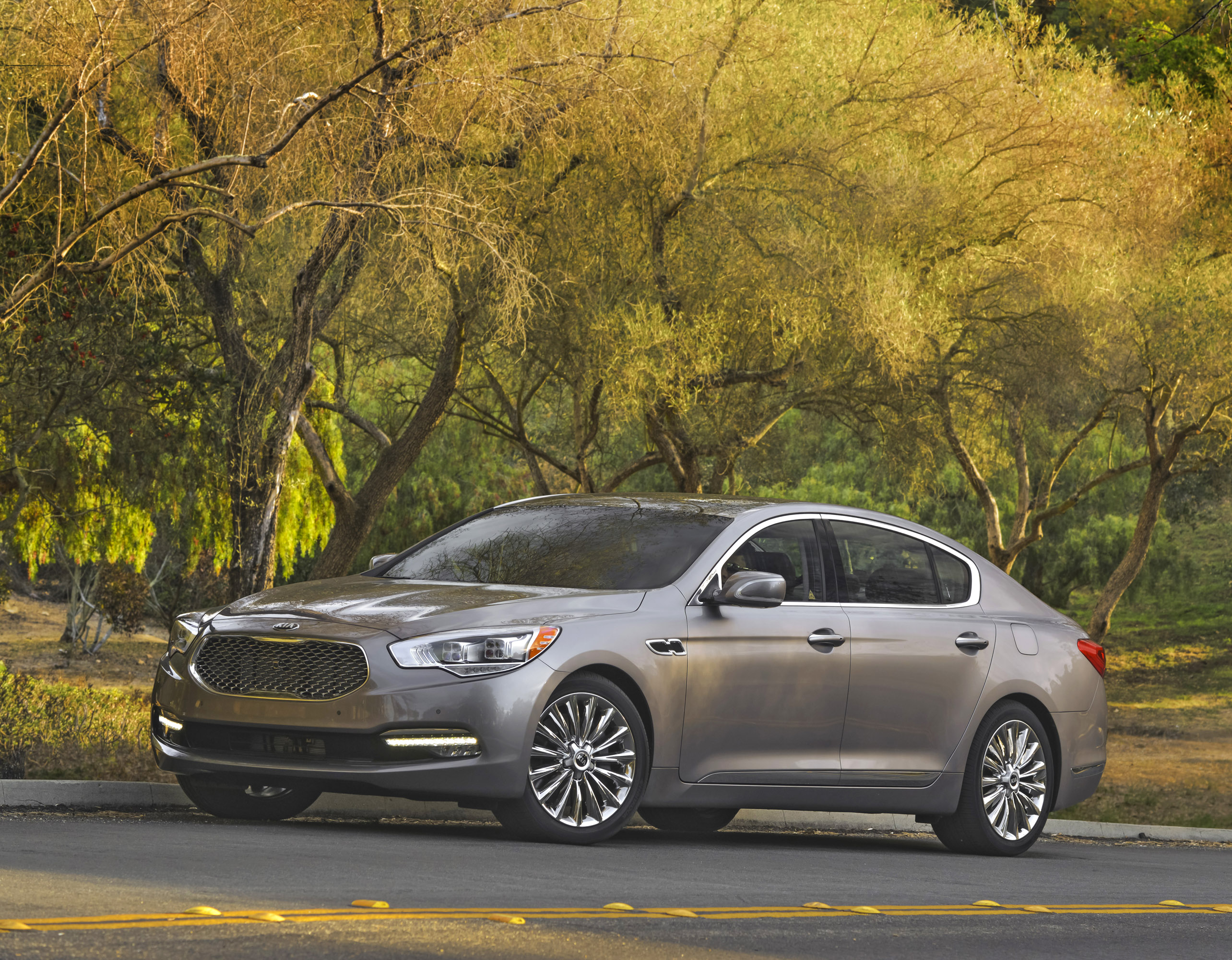 KIA K900 photo #18