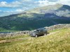 2015 Land Rover Discovery thumbnail photo 66820