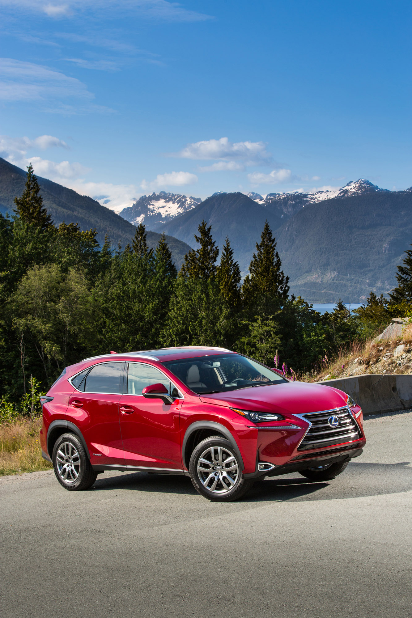 Lexus NX photo #15