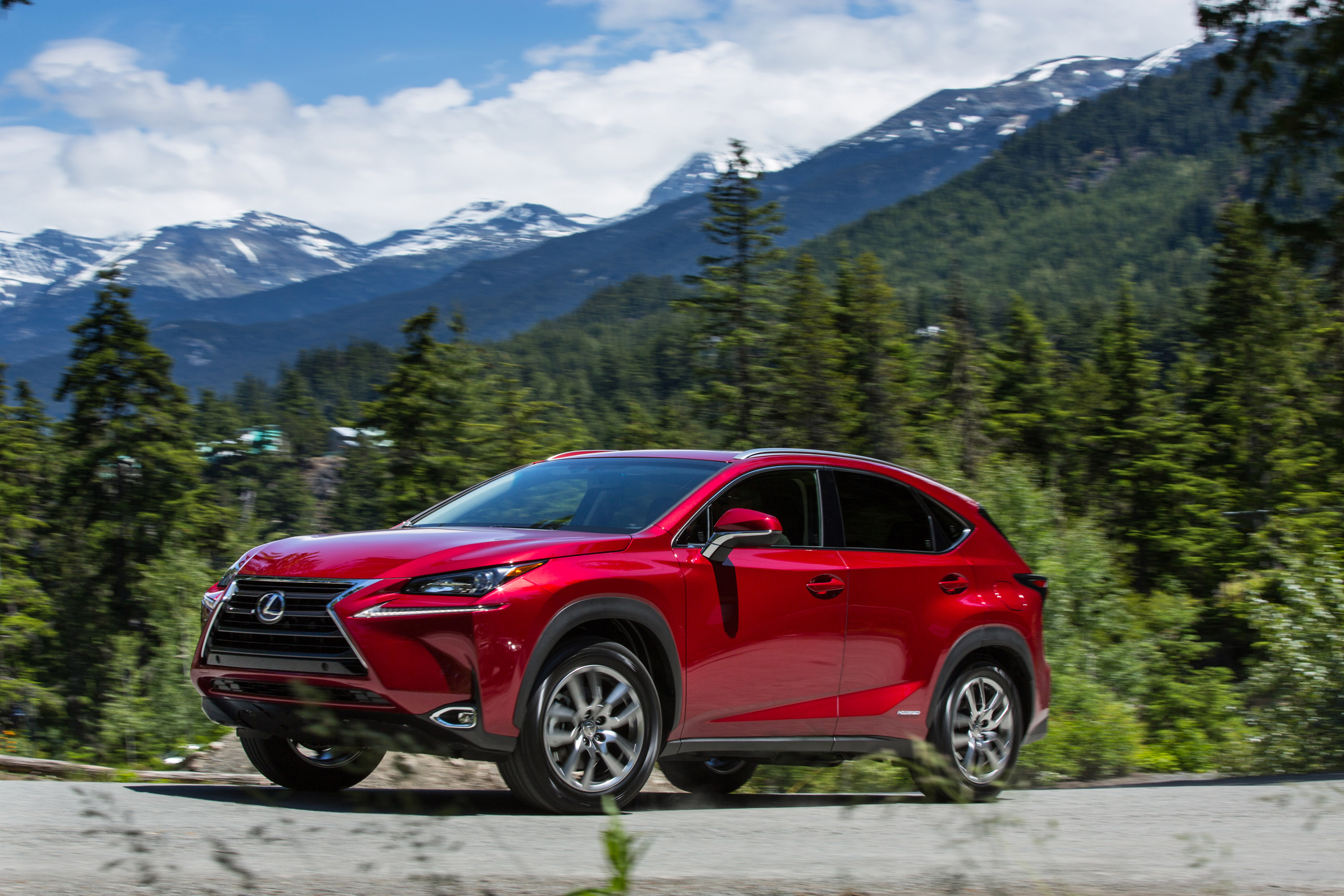Lexus NX photo #16