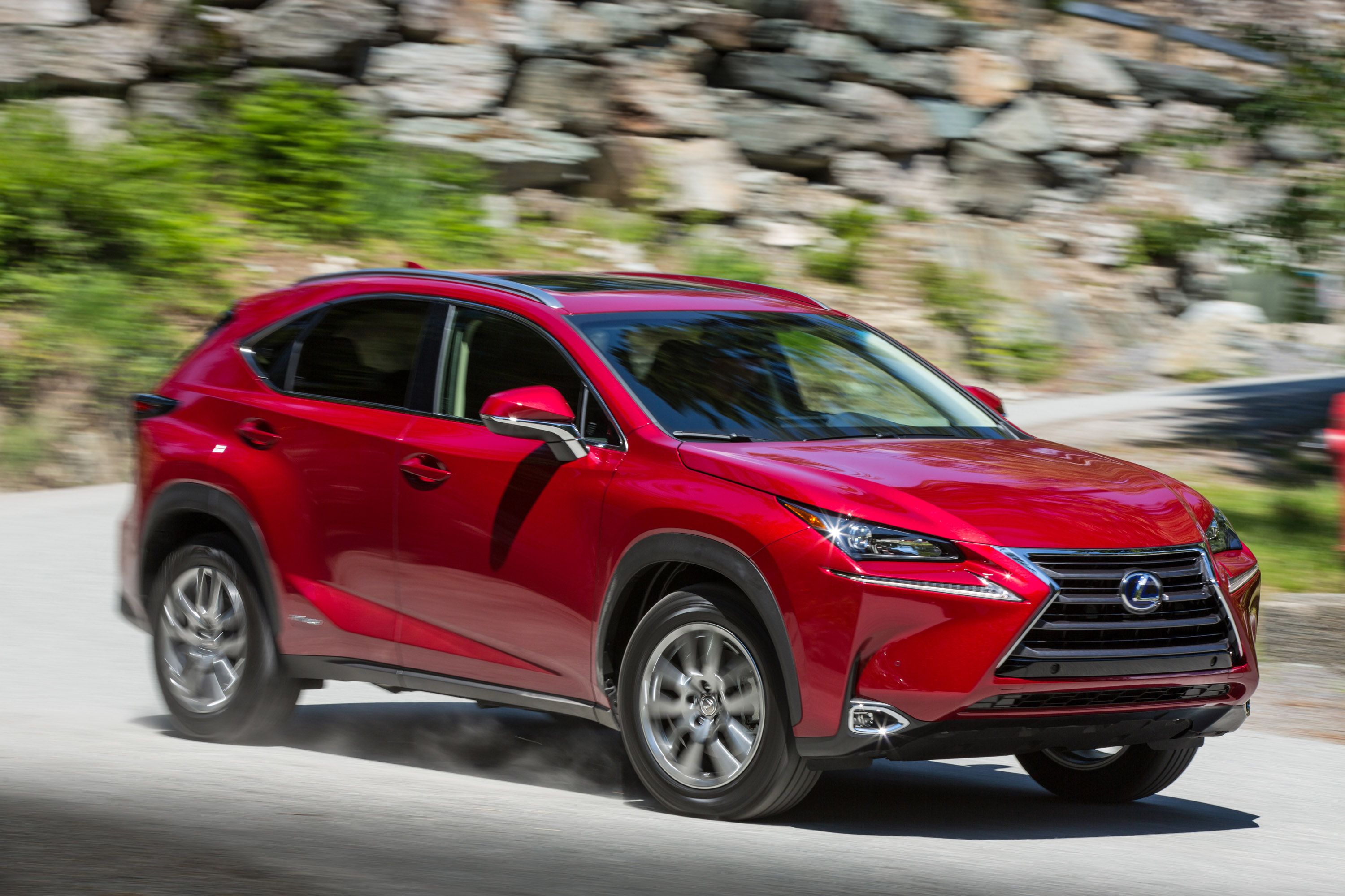Lexus NX photo #17