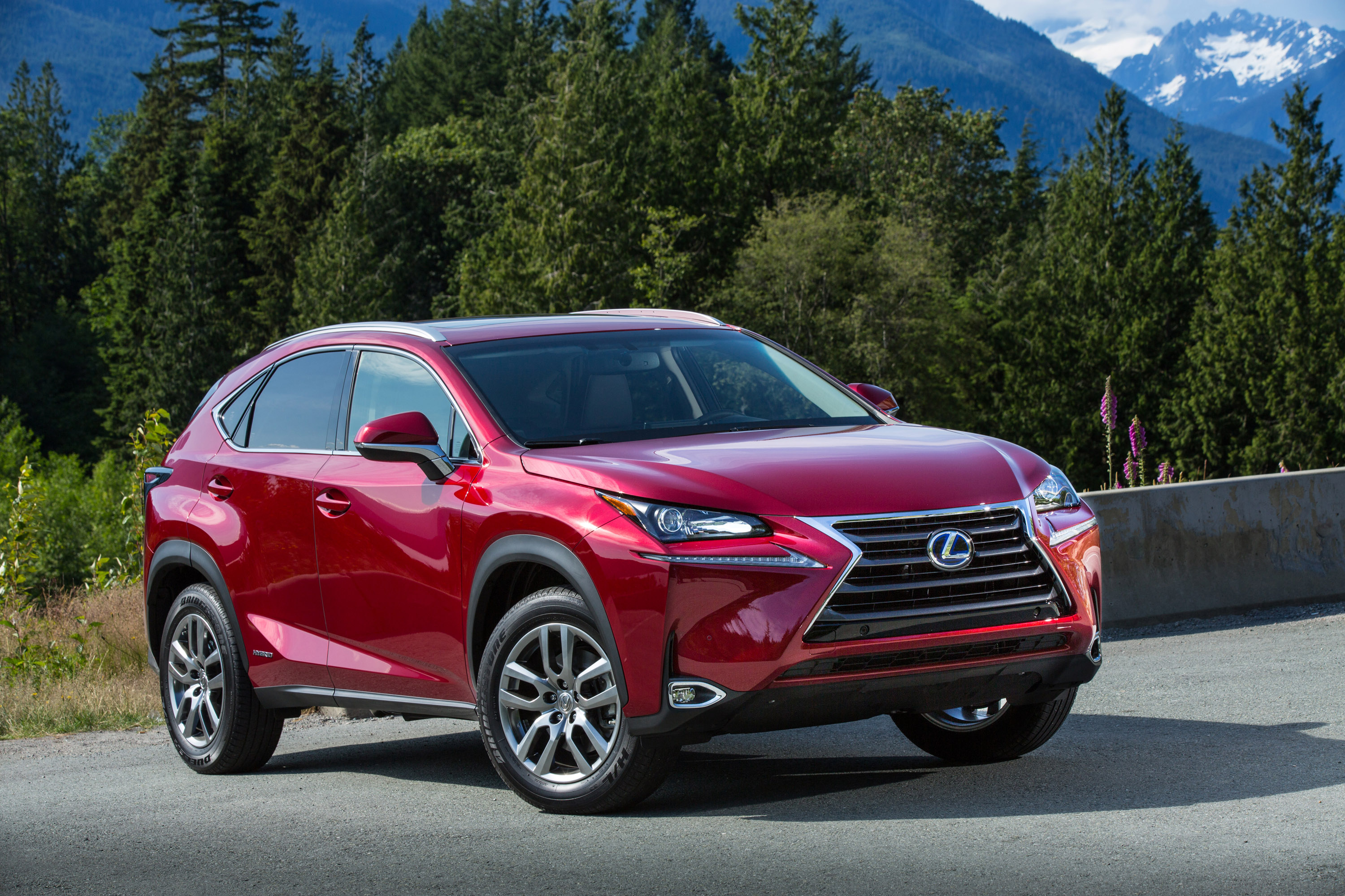 Lexus NX photo #18