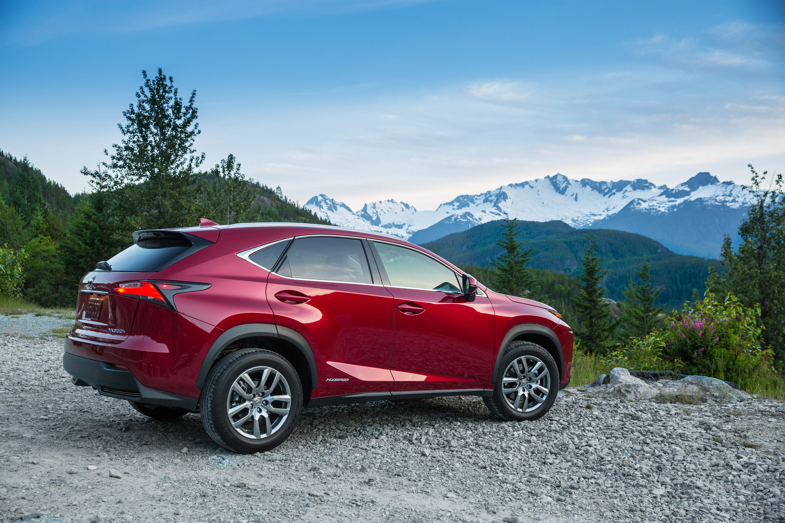Lexus NX photo #20