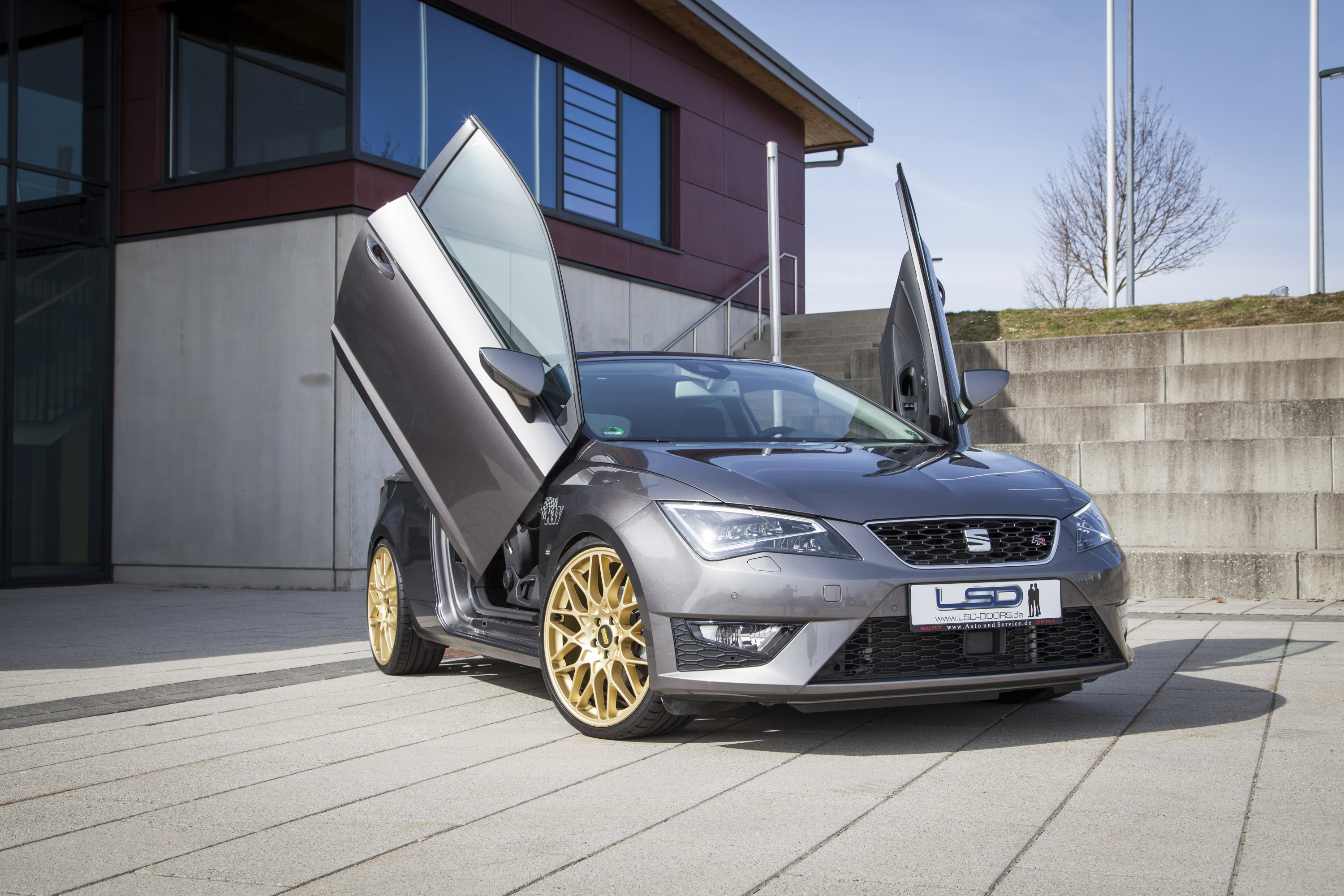 LSD Seat Leon photo #1