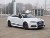 2015 MTM Audi S3 Cabrio thumbnail photo 86261