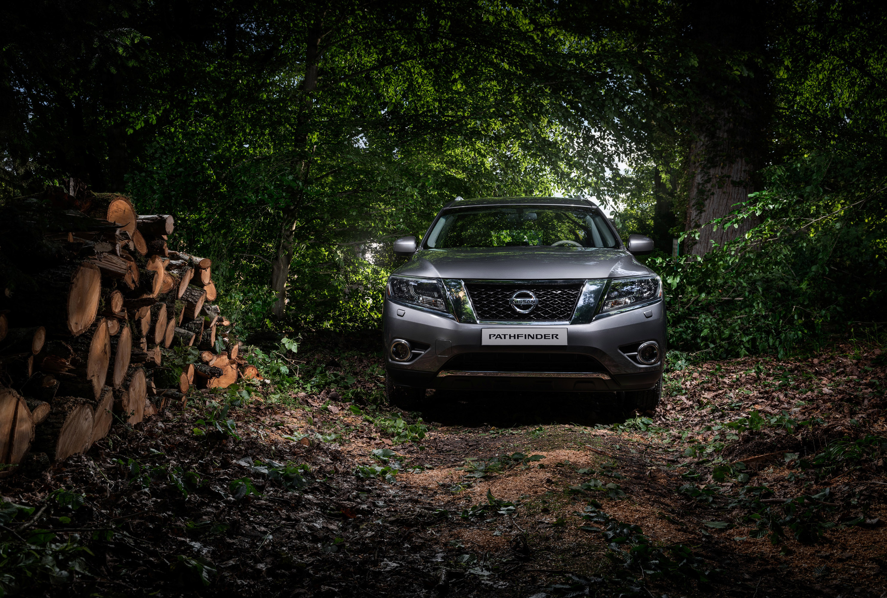 Nissan Pathfinder photo #2