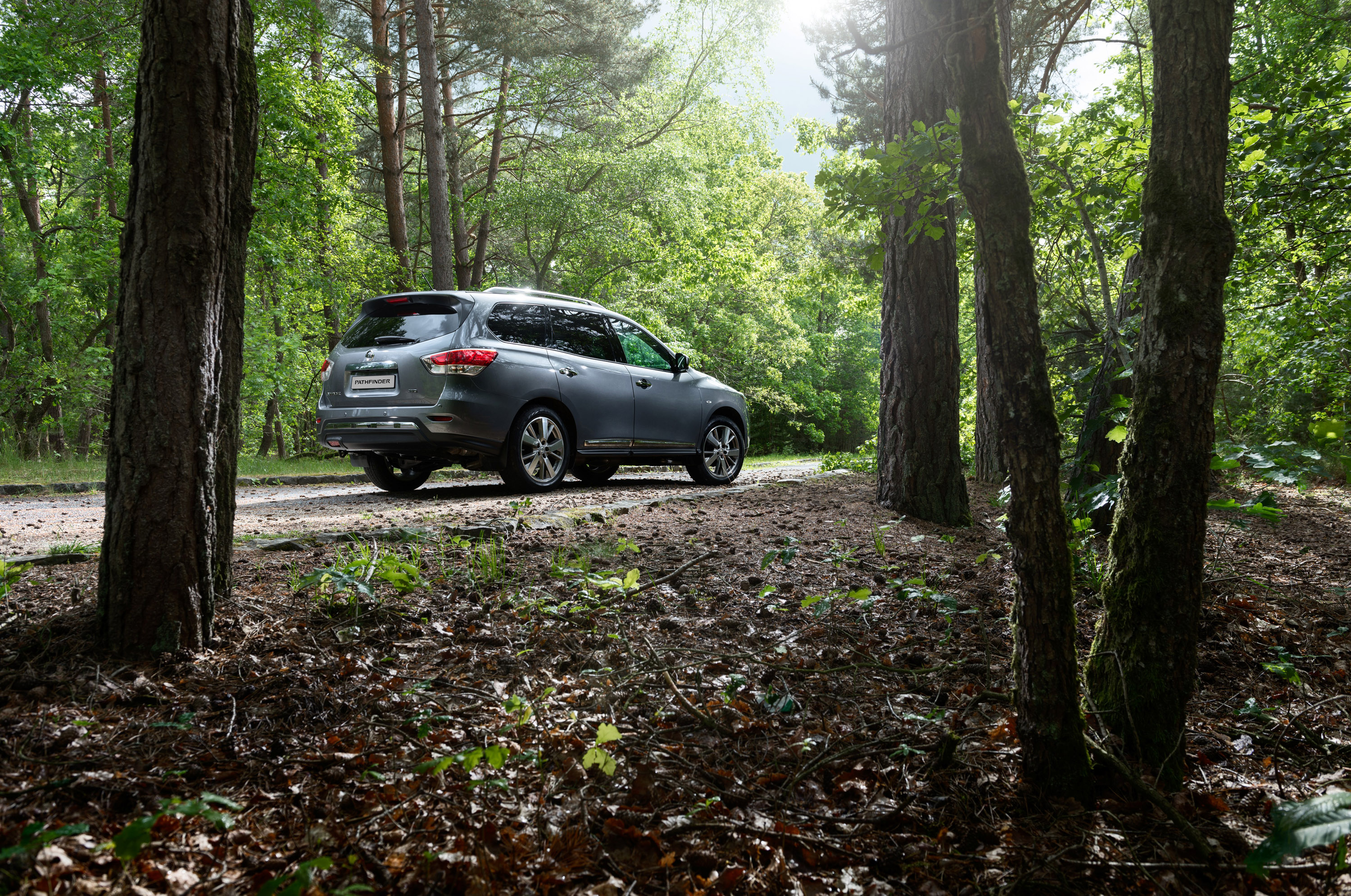 Nissan Pathfinder photo #17