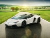 2015 Novitec Torado Lamborghini Aventador LP 700-4 Roadster thumbnail photo 78508