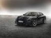 2015 Porsche Panamera Edition thumbnail photo 88263