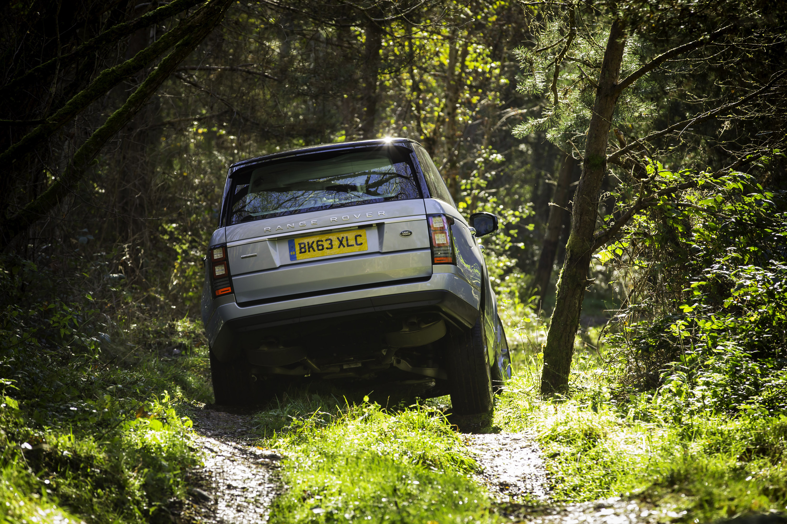 Range Rover Hybrid photo #17