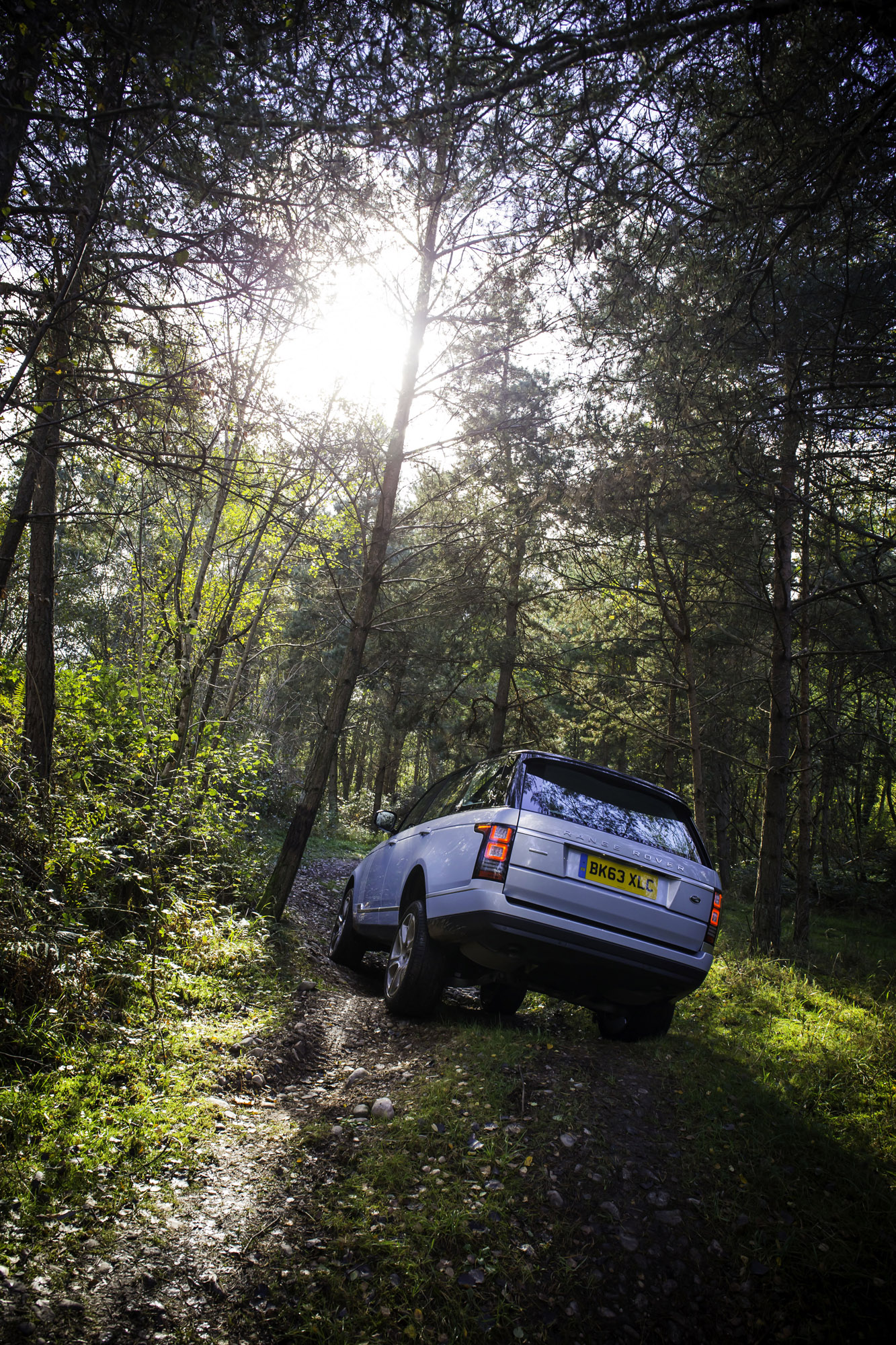Range Rover Hybrid photo #18