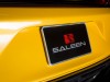Saleen Ford Mustang S302 Black Label 2015