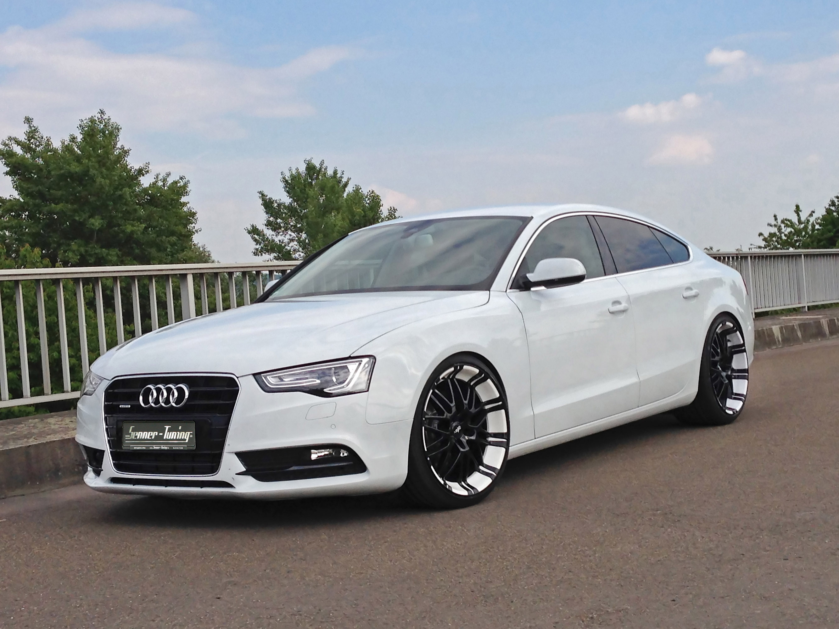 Senner Audi S5 Coupe photo #2