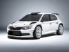 2015 Skoda Fabia R 5