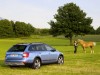 2015 Skoda Octavia Scout thumbnail photo 70439