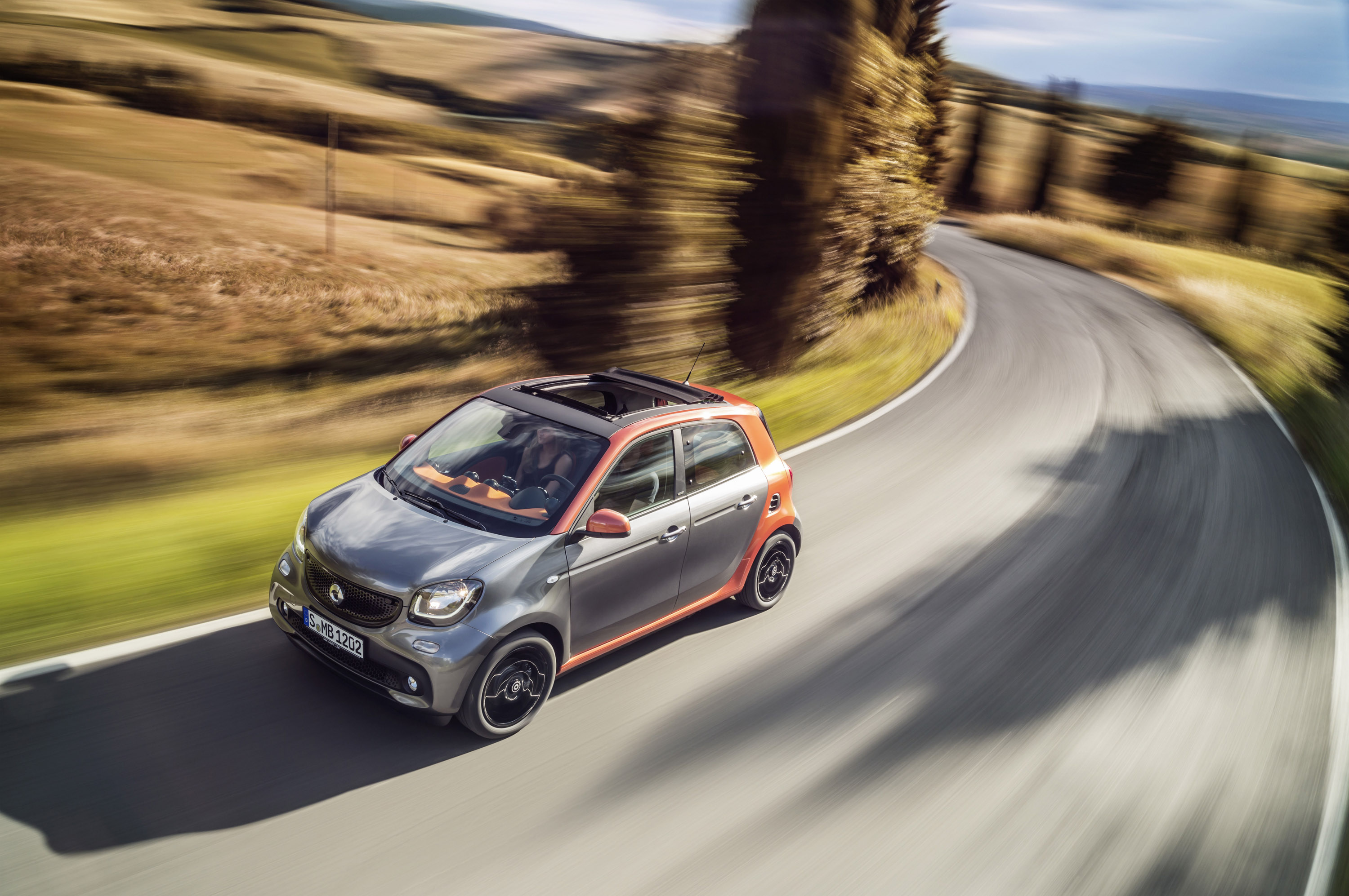 Smart Forfour photo #16
